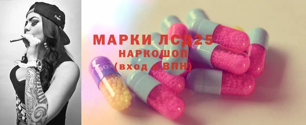 крисы Алексин